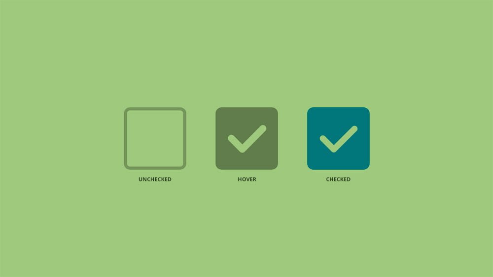 CSS Checkbox