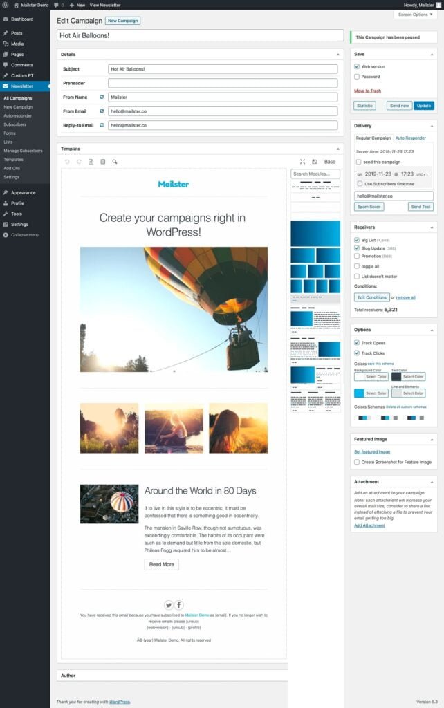 Mailster Plugin Campaign