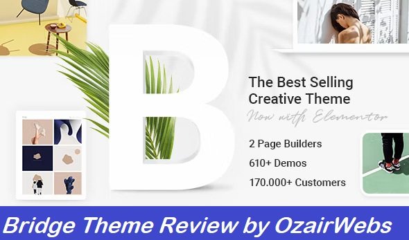 Bridge WordPress Theme Review from Our Team