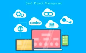 The Importance of SEO in SaaS Business Websites: Practical Strategies for Founders and Marketing Executives